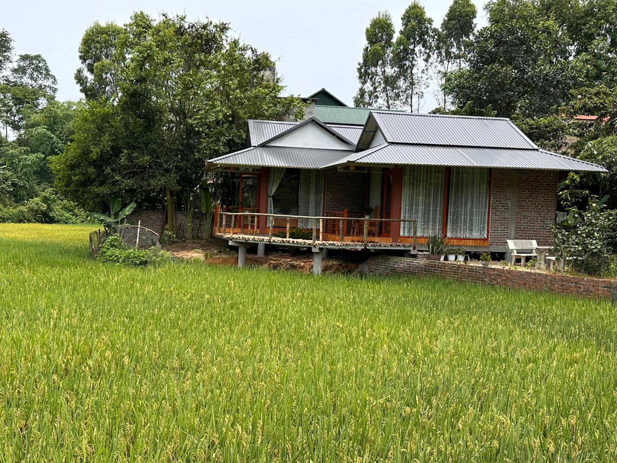 Vulinh Family -Homestay Yen Binh Esterno foto