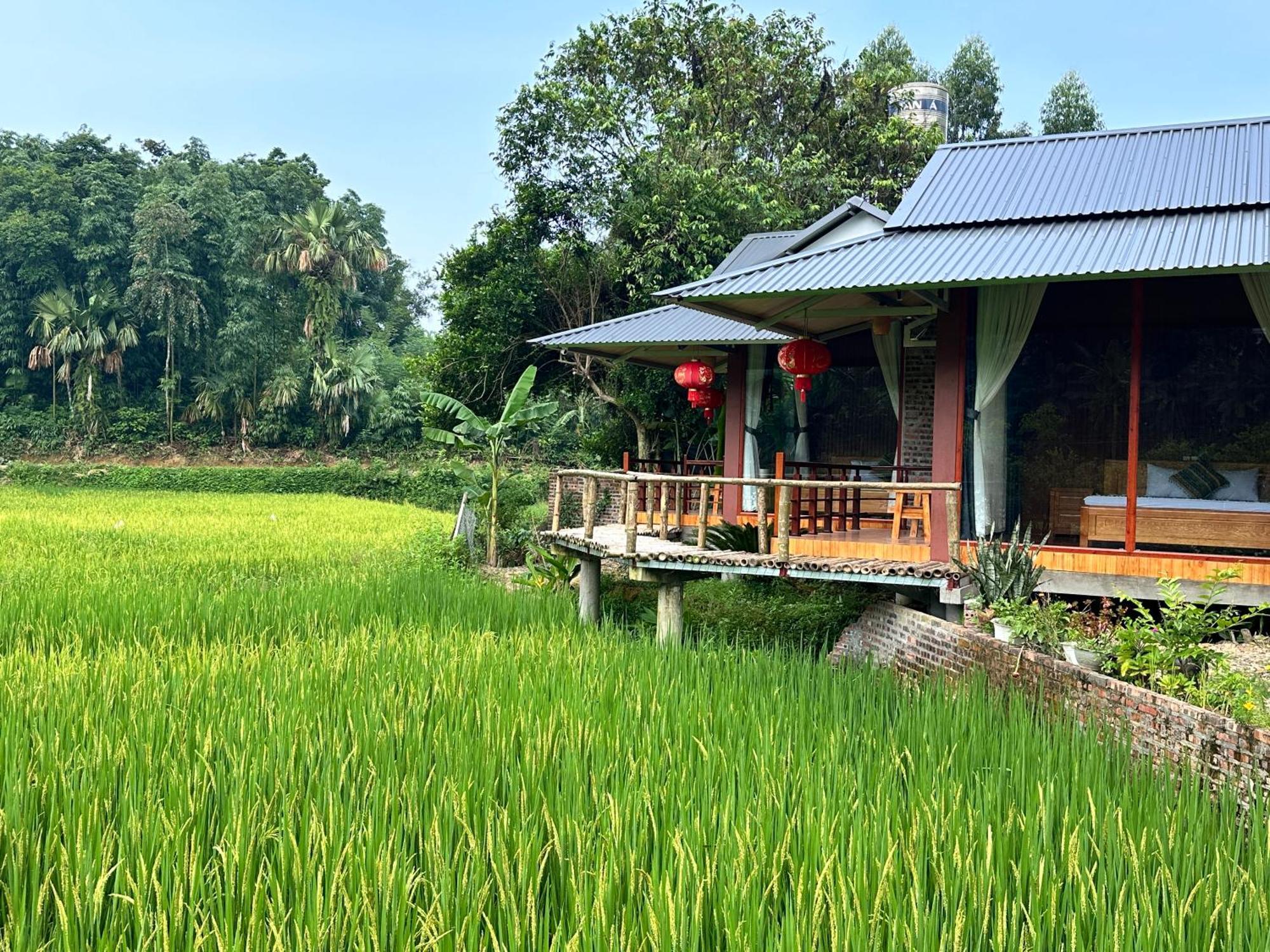 Vulinh Family -Homestay Yen Binh Esterno foto